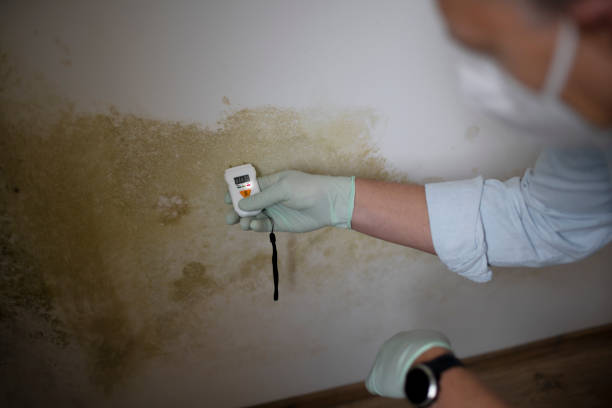 Best Mold Remediation for Specific Building Types in Lookout Mountain, TN